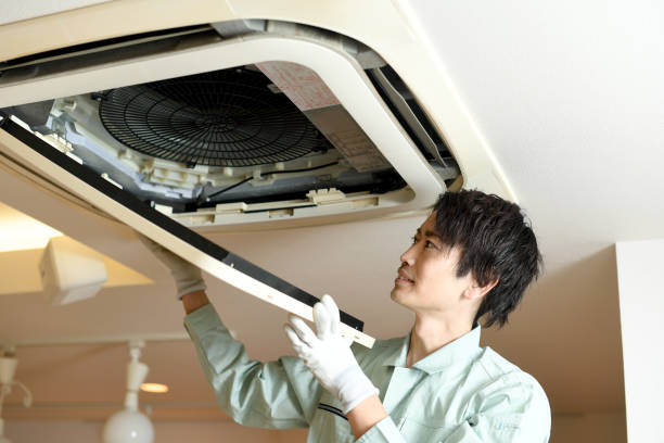 Air Duct Mold Removal in HI